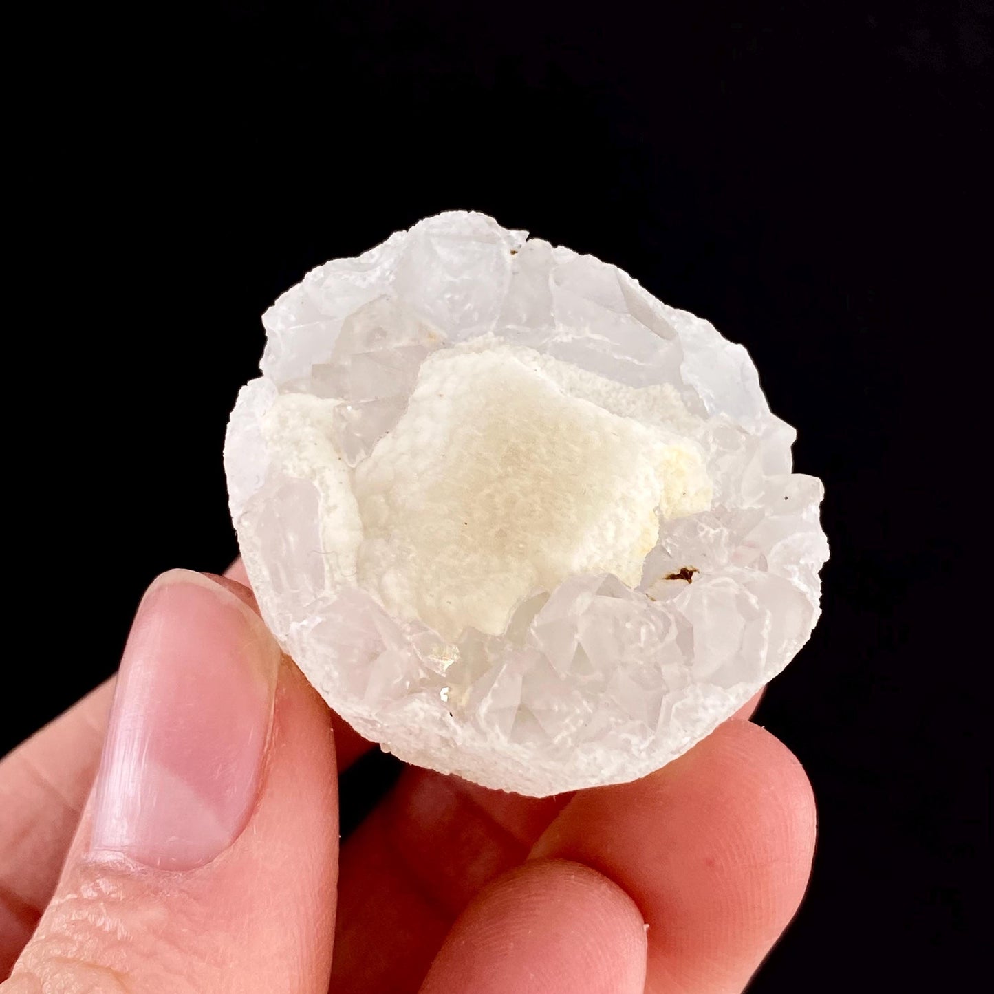 Botryoidal Fluorite on Quartz (India) | fried egg crystal, egg fluorite, fluorite crystal, mineral specimen, yellow fluorite