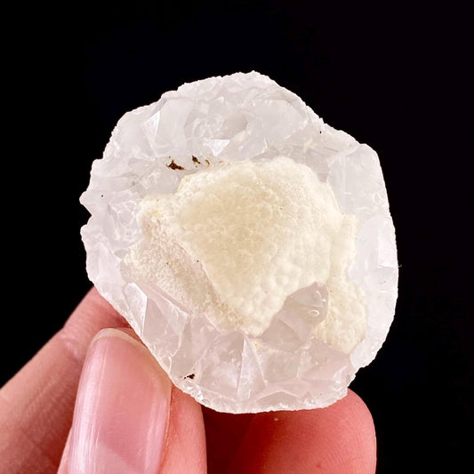 Botryoidal Fluorite on Quartz (India) | fried egg crystal, egg fluorite, fluorite crystal, mineral specimen, yellow fluorite