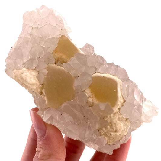 Botryoidal Fluorite on Quartz (India) | fried egg crystal, egg fluorite, fluorite crystal, mineral specimen, yellow fluorite
