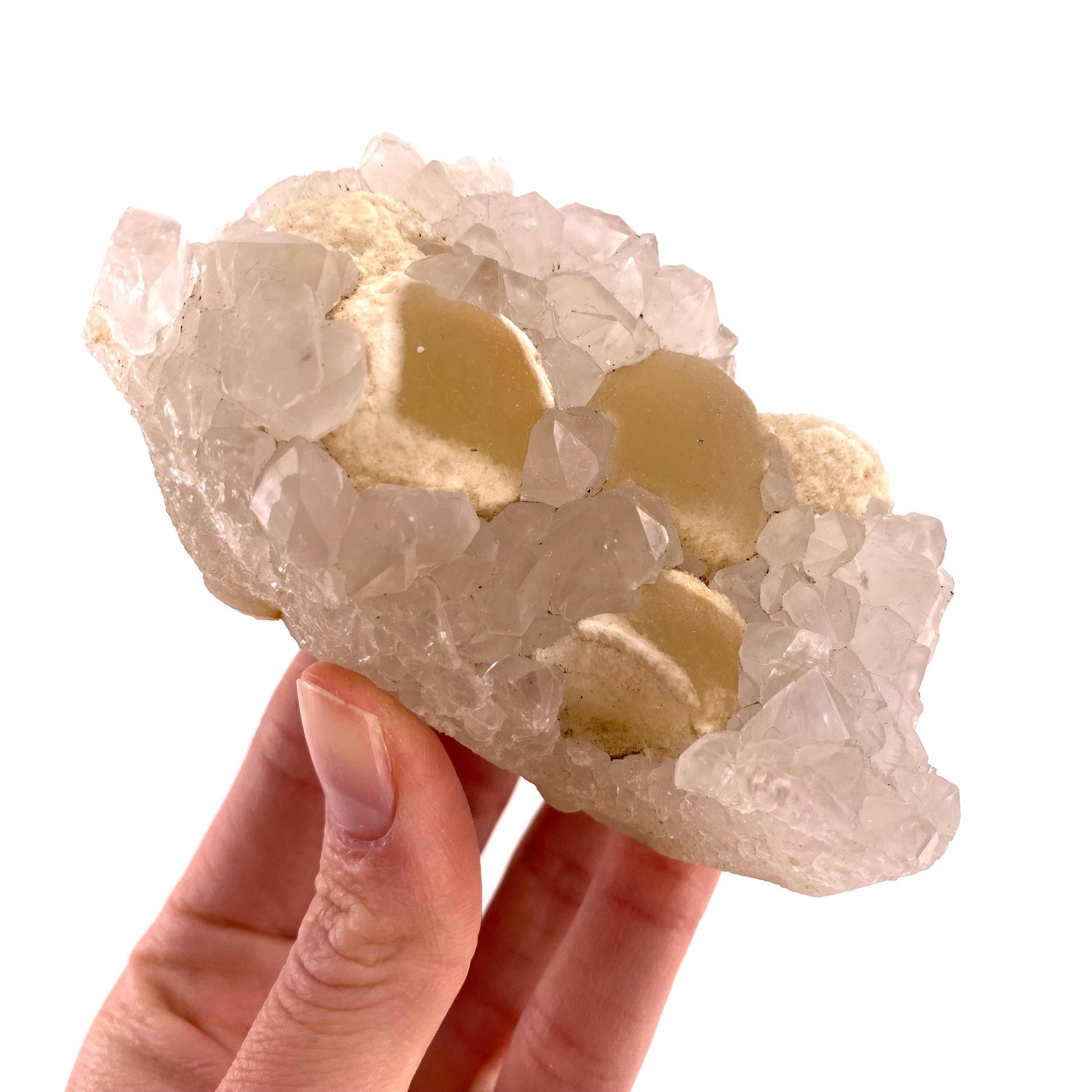 Botryoidal Fluorite on Quartz (India) | fried egg crystal, egg fluorite, fluorite crystal, mineral specimen, yellow fluorite