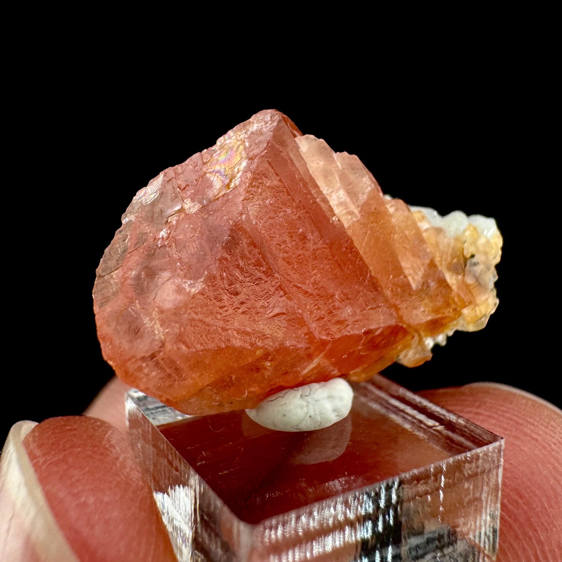 Rhodochrosite (Pakistan) | rhodochrosite crystal, rare crystals, mineral specimen, rare minerals, natural rhodochrosite