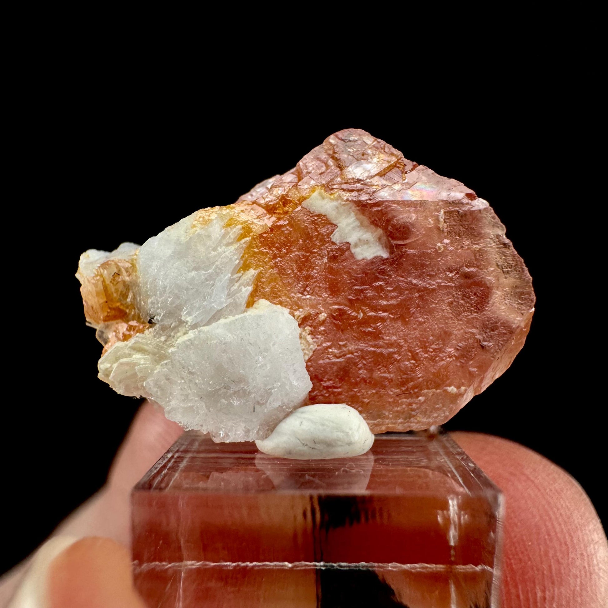 Rhodochrosite (Pakistan) | rhodochrosite crystal, rare crystals, mineral specimen, rare minerals, natural rhodochrosite