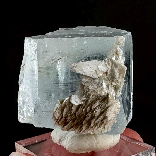 Aquamarine with Muscovite (Pakistan) | terminated Aquamarine, raw Aquamarine, natural Aquamarine crystal, aquamarine specimen
