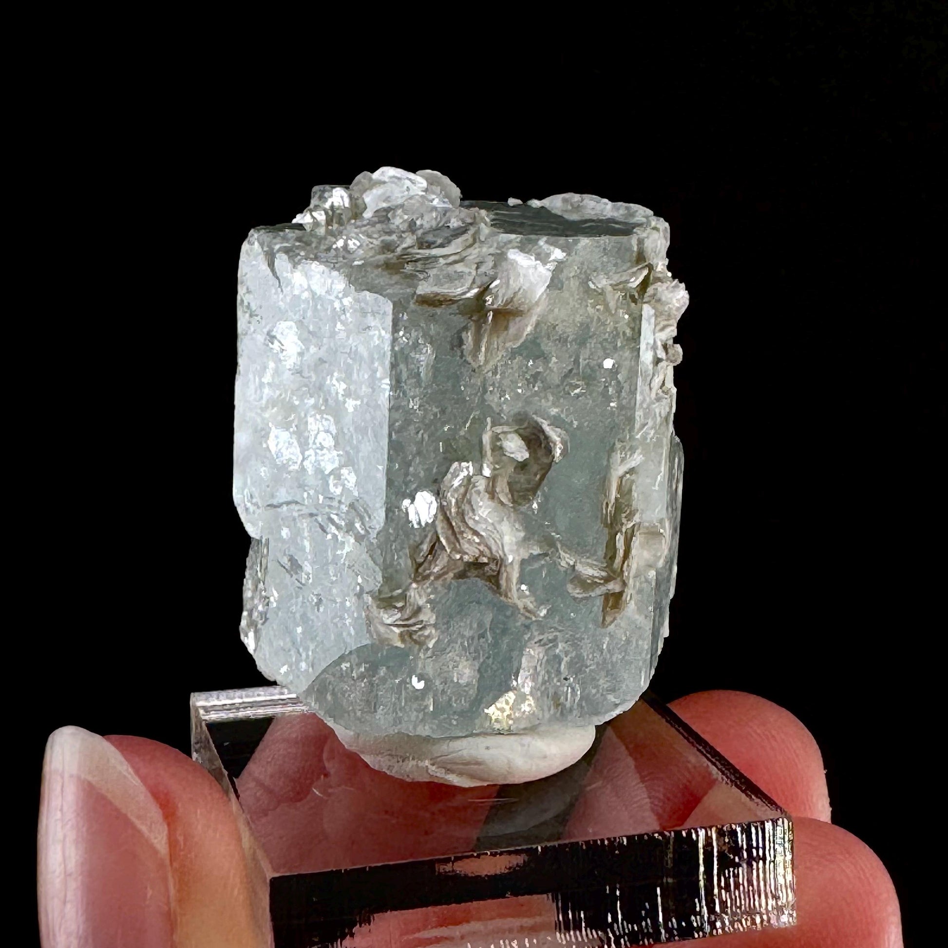 Aquamarine with Muscovite (Pakistan) | terminated Aquamarine, raw Aquamarine, natural Aquamarine crystal, aquamarine specimen