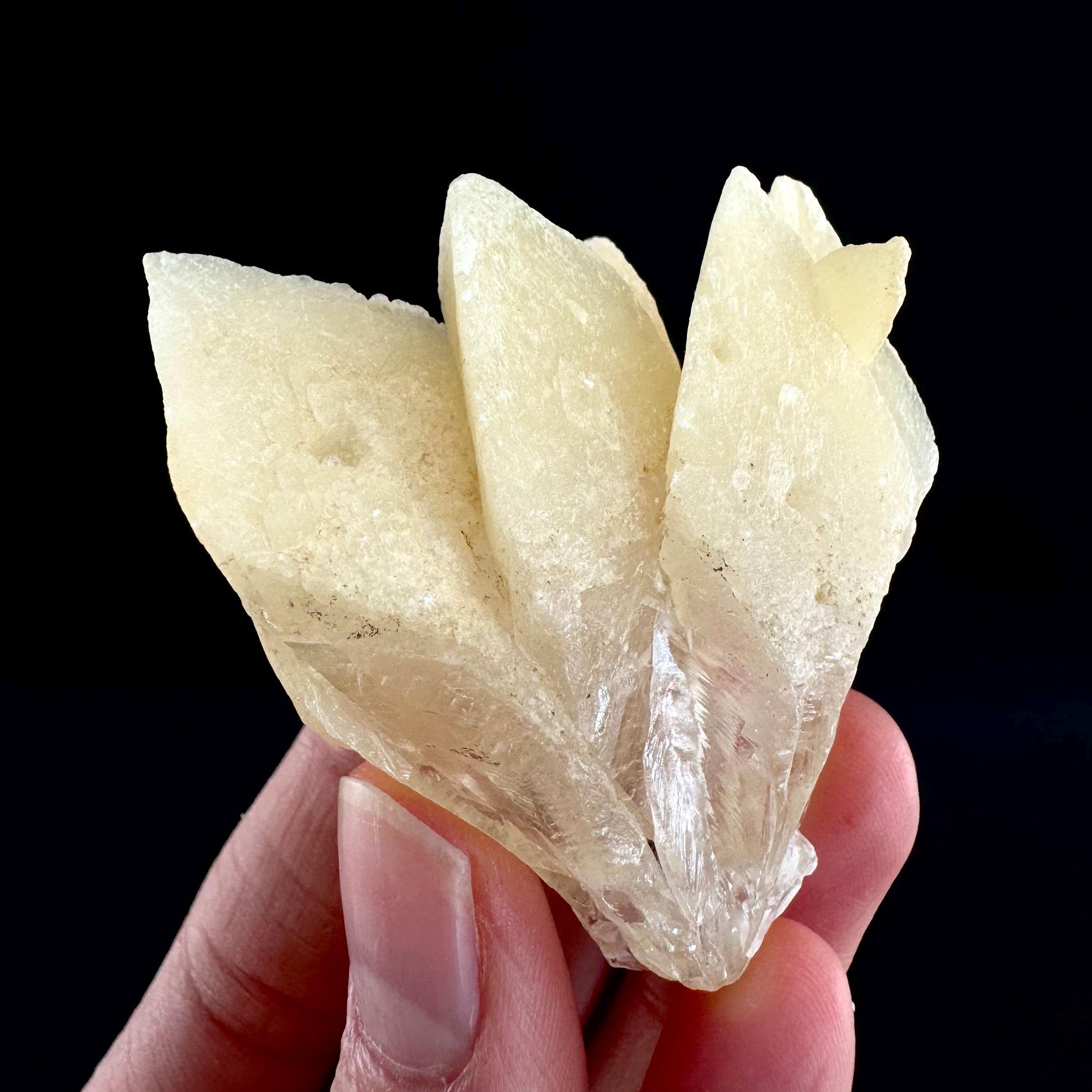 Fluorescent & Phosphorescent Calcite (Indonesia) | UV-reactive calcite, yellow calcite, calcite crystal, UV reactive crystal, crystals