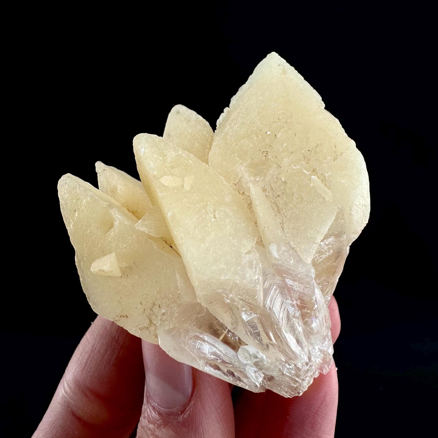 Fluorescent & Phosphorescent Calcite (Indonesia) | UV-reactive calcite, yellow calcite, calcite crystal, UV reactive crystal, crystals