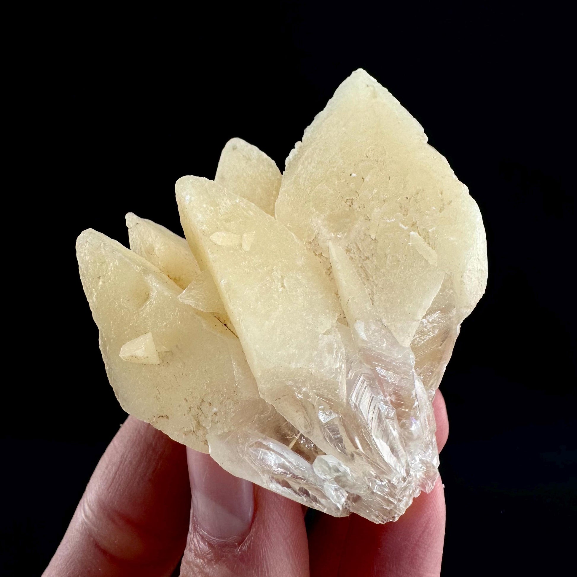 Fluorescent & Phosphorescent Calcite (Indonesia) | UV-reactive calcite, yellow calcite, calcite crystal, UV reactive crystal, crystals