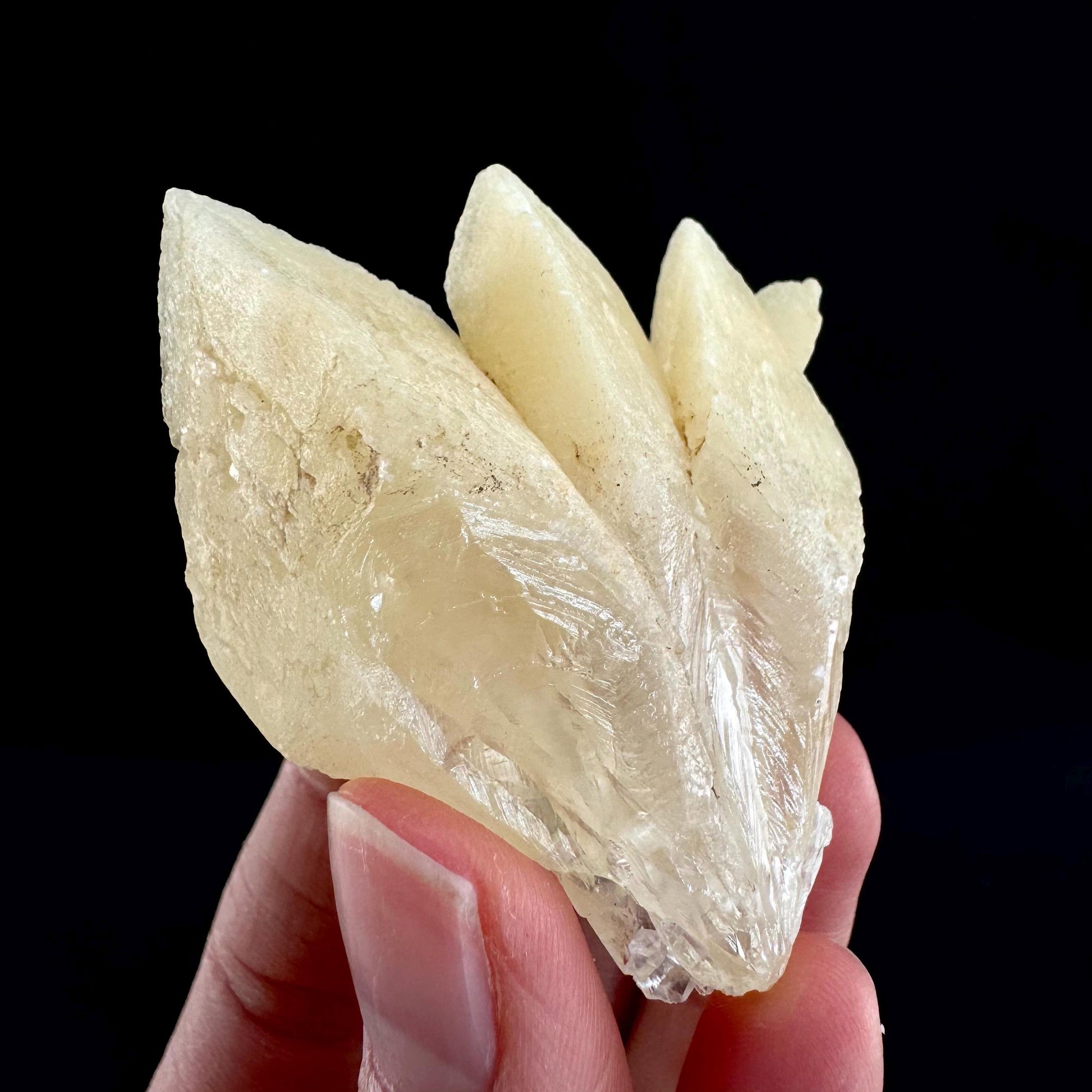 Fluorescent & Phosphorescent Calcite (Indonesia) | UV-reactive calcite, yellow calcite, calcite crystal, UV reactive crystal, crystals