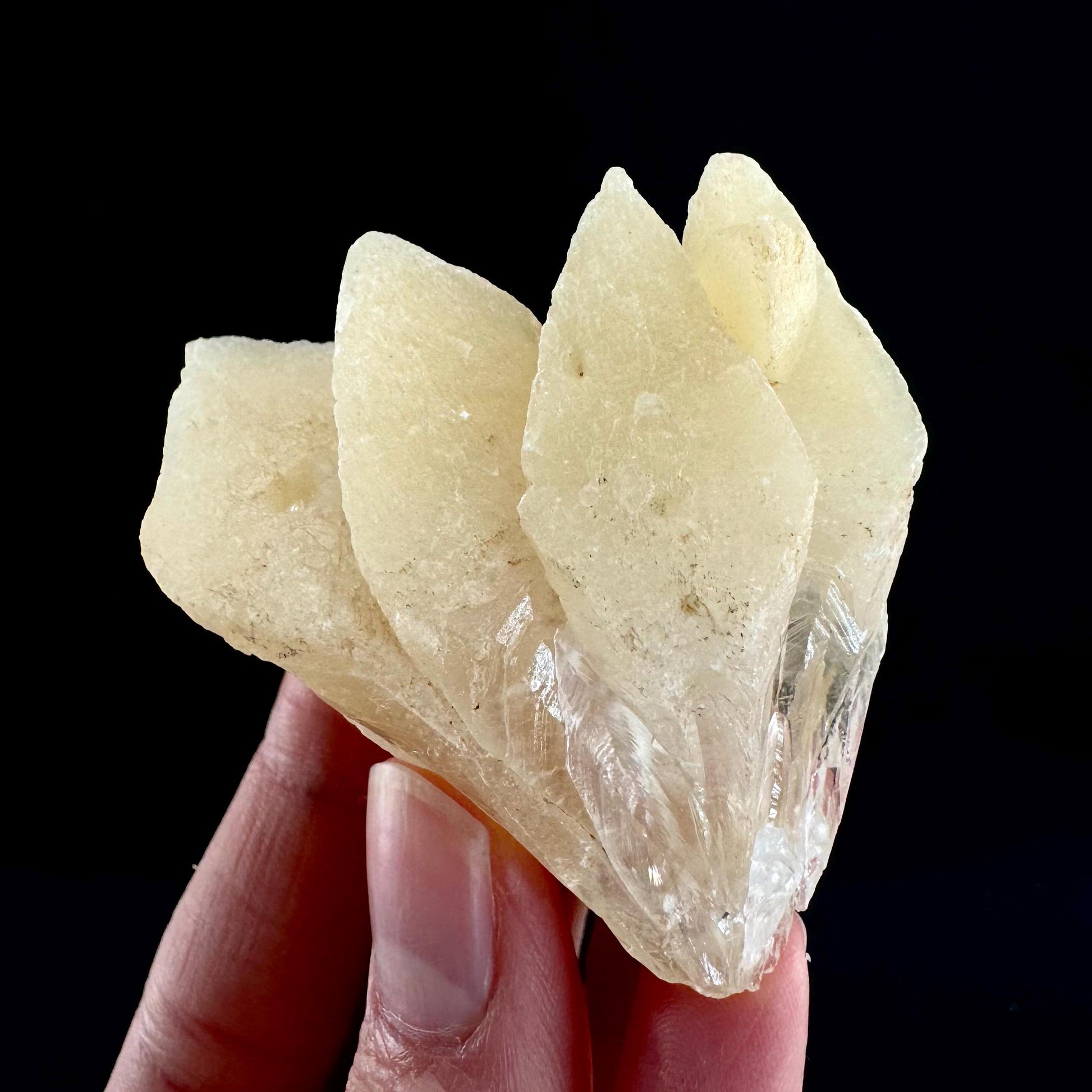 Fluorescent & Phosphorescent Calcite (Indonesia) | UV-reactive calcite, yellow calcite, calcite crystal, UV reactive crystal, crystals