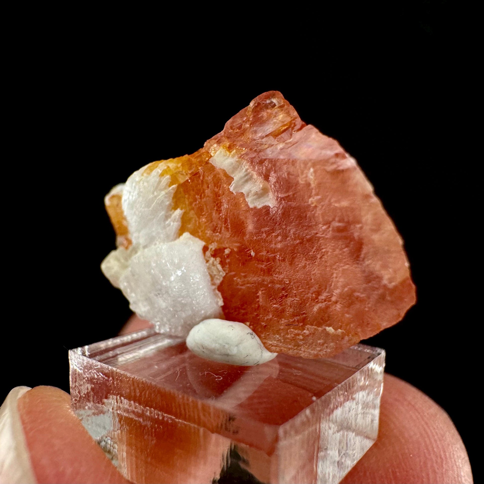 Rhodochrosite (Pakistan) | rhodochrosite crystal, rare crystals, mineral specimen, rare minerals, natural rhodochrosite