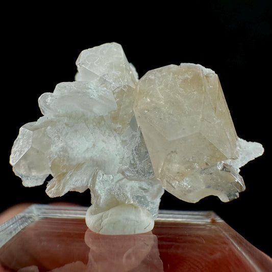 Champagne Topaz on Albite Matrix (Pakistan) | topaz crystal, rare crystals, mineral specimen, rare minerals, natural topaz, golden topaz