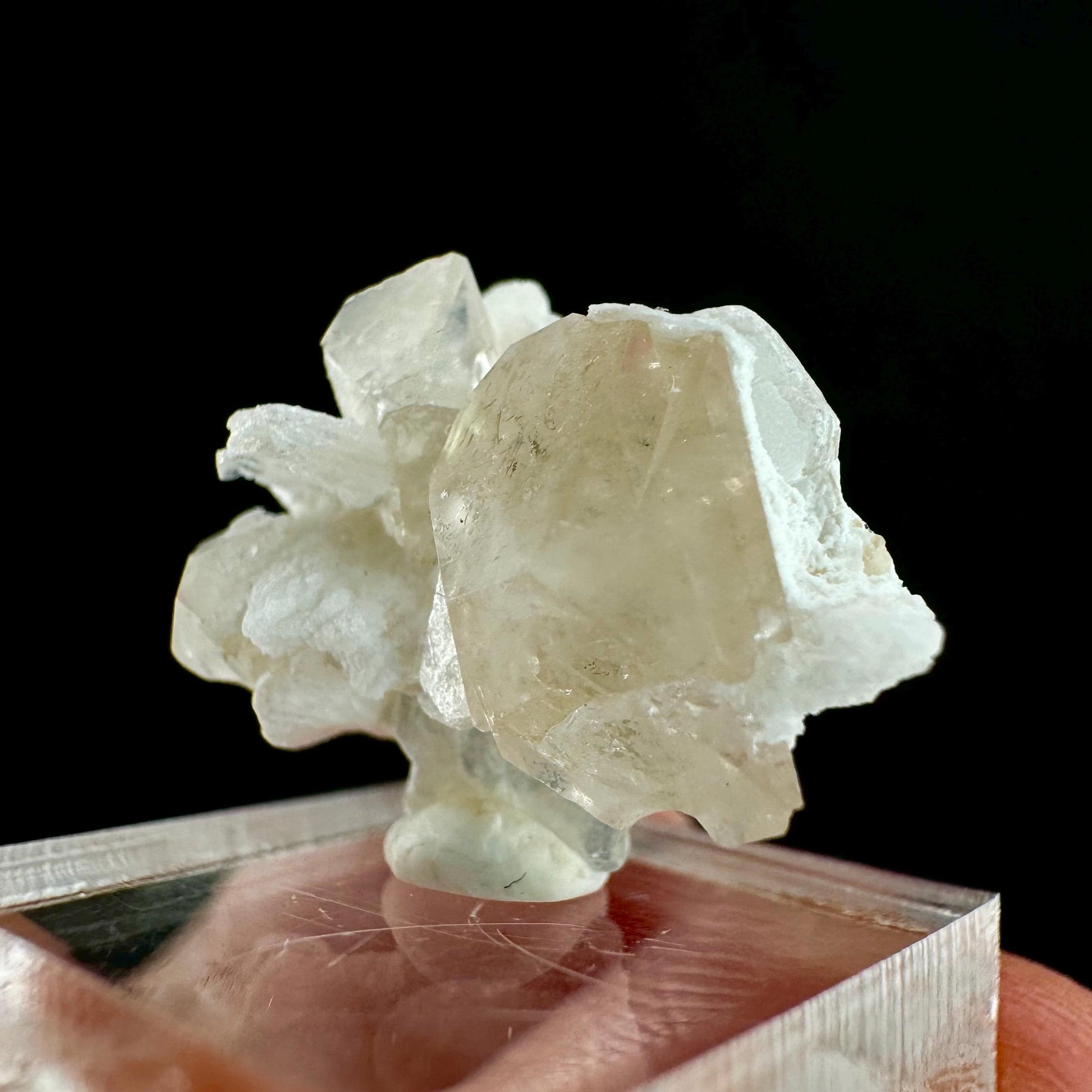 Champagne Topaz on Albite Matrix (Pakistan) | topaz crystal, rare crystals, mineral specimen, rare minerals, natural topaz, golden topaz