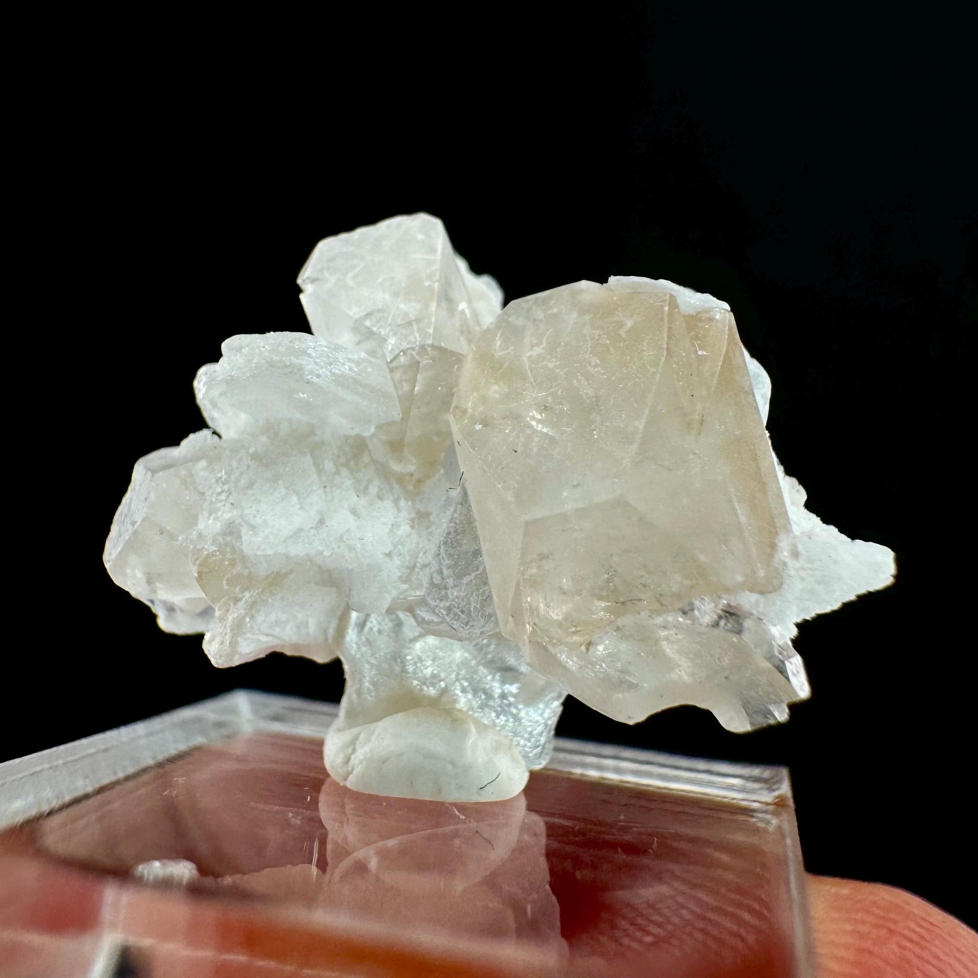 Champagne Topaz on Albite Matrix (Pakistan) | topaz crystal, rare crystals, mineral specimen, rare minerals, natural topaz, golden topaz