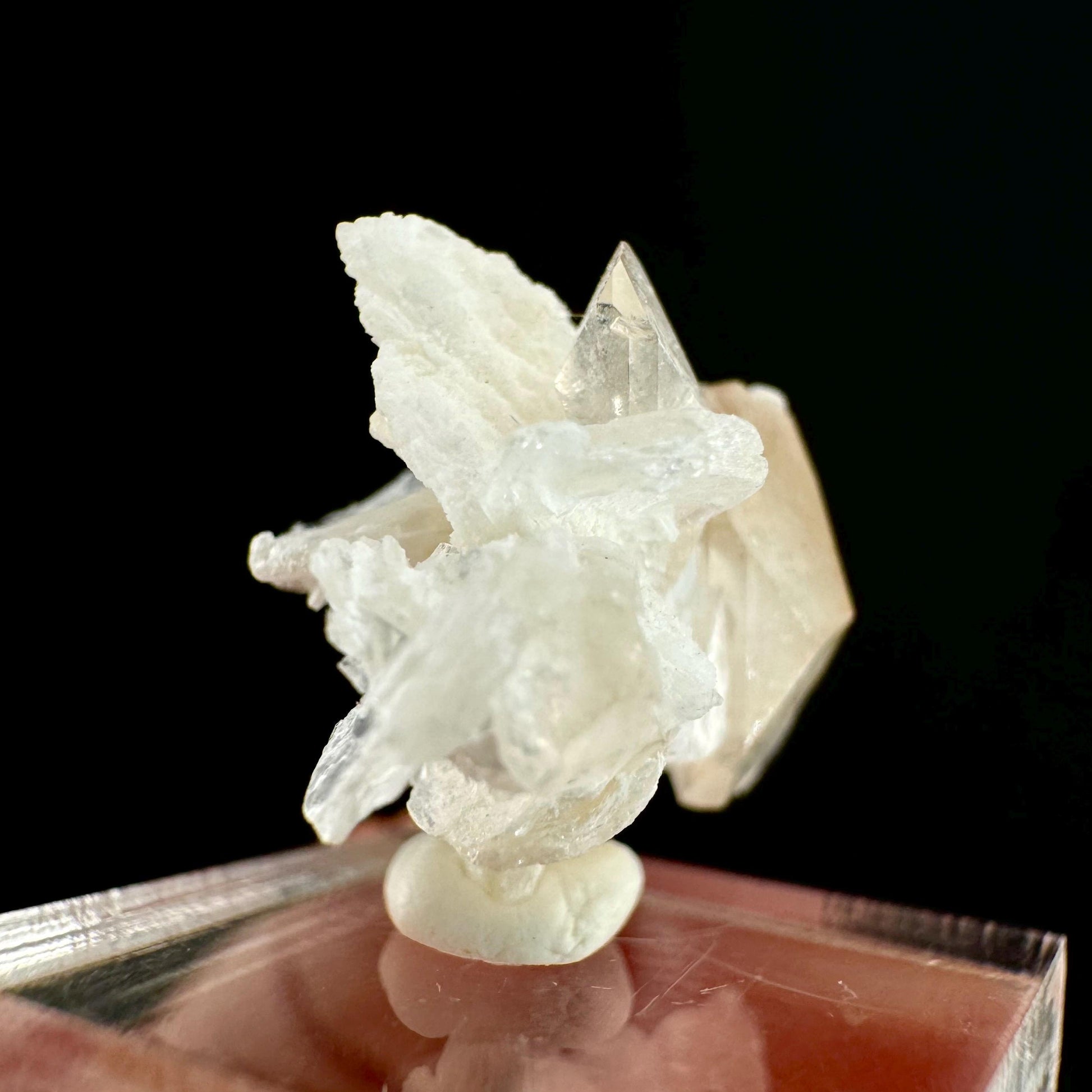 Champagne Topaz on Albite Matrix (Pakistan) | topaz crystal, rare crystals, mineral specimen, rare minerals, natural topaz, golden topaz
