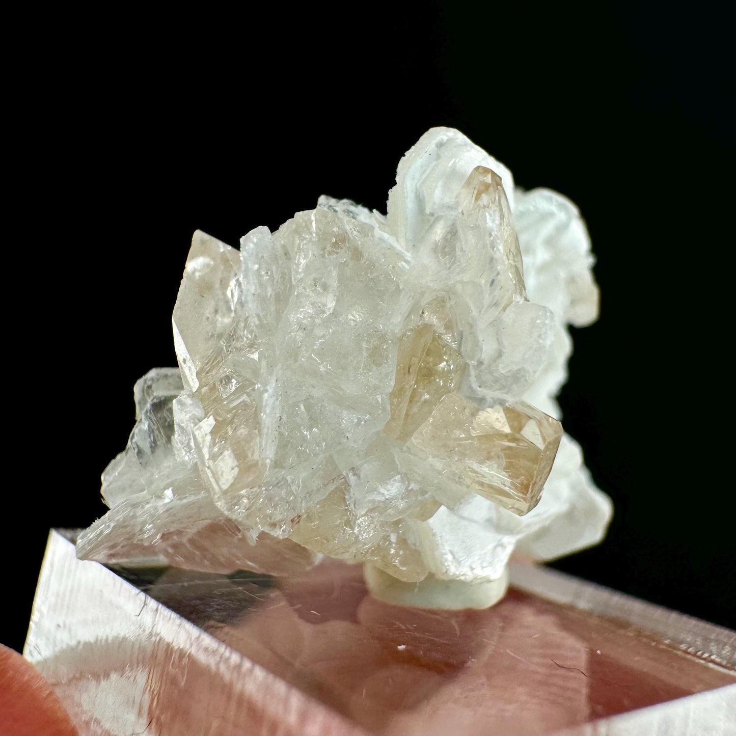 Champagne Topaz on Albite Matrix (Pakistan) | topaz crystal, rare crystals, mineral specimen, rare minerals, natural topaz, golden topaz