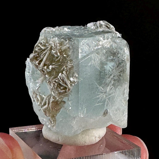 Aquamarine with Muscovite (Pakistan) | terminated Aquamarine, raw Aquamarine, natural Aquamarine crystal, aquamarine specimen