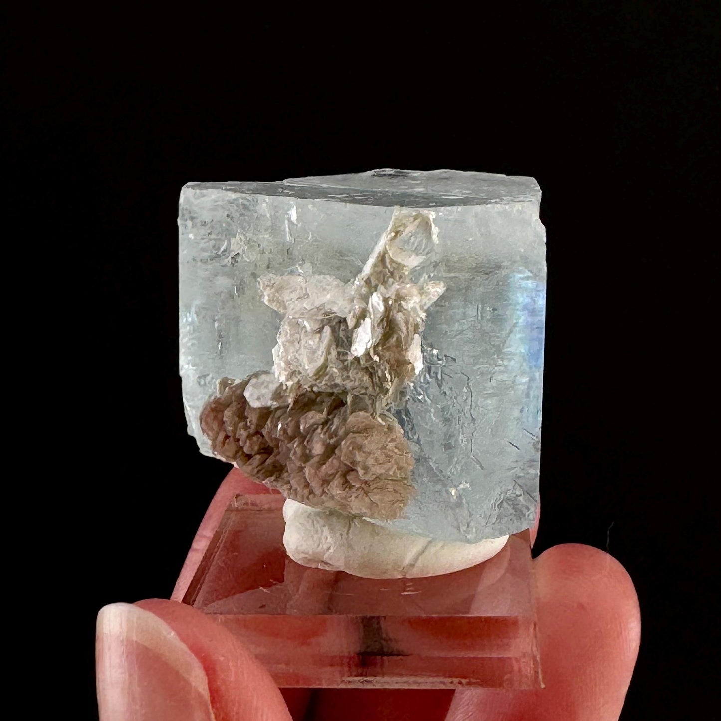Aquamarine with Muscovite (Pakistan) | terminated Aquamarine, raw Aquamarine, natural Aquamarine crystal, aquamarine specimen