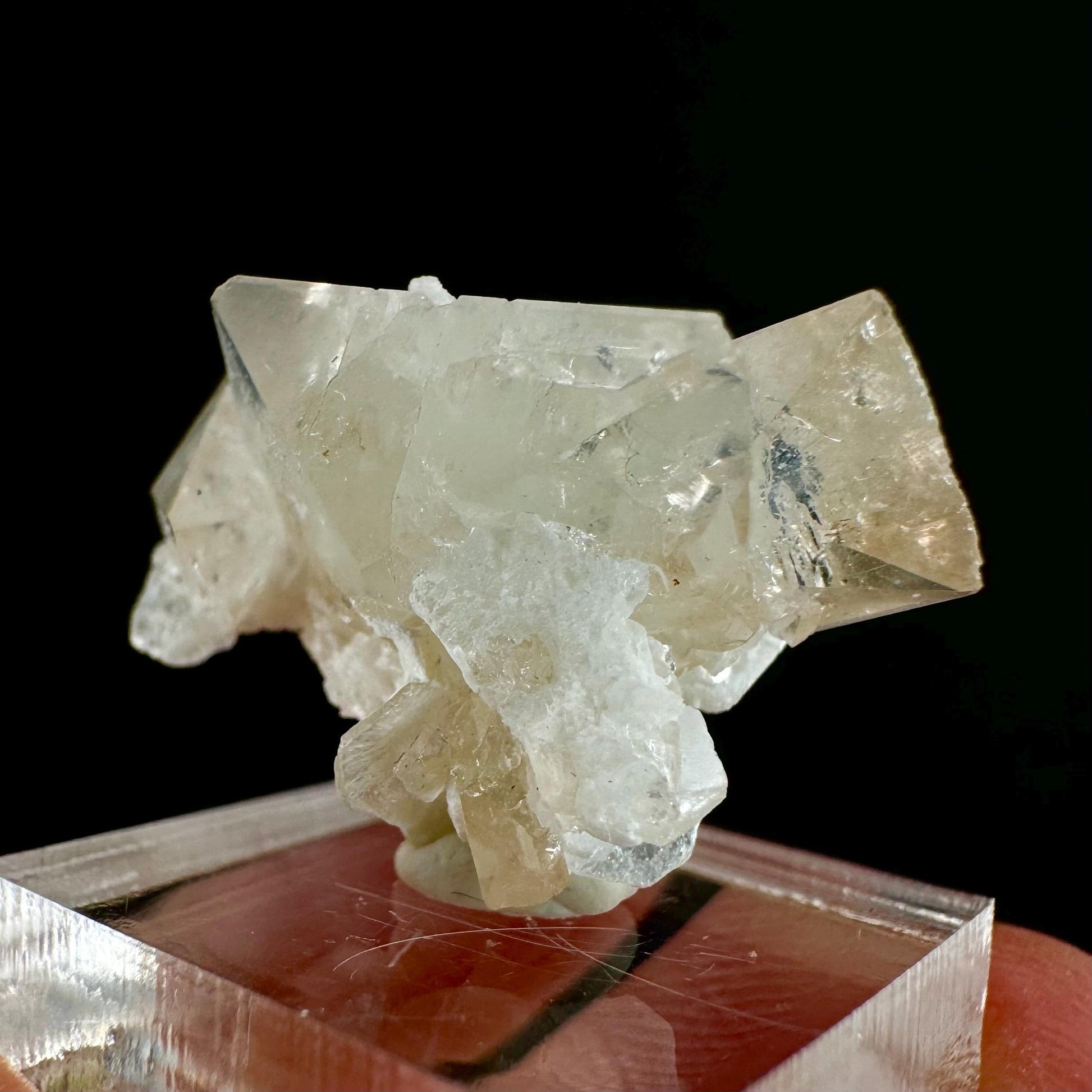 Champagne Topaz on Albite Matrix (Pakistan) | topaz crystal, rare crystals, mineral specimen, rare minerals, natural topaz, golden topaz