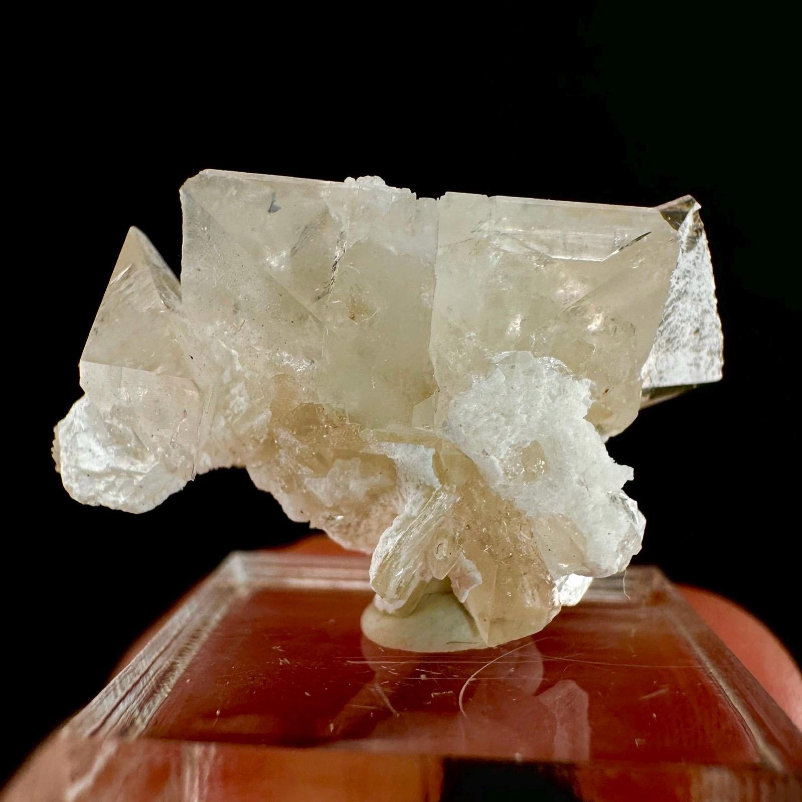 Champagne Topaz on Albite Matrix (Pakistan) | topaz crystal, rare crystals, mineral specimen, rare minerals, natural topaz, golden topaz