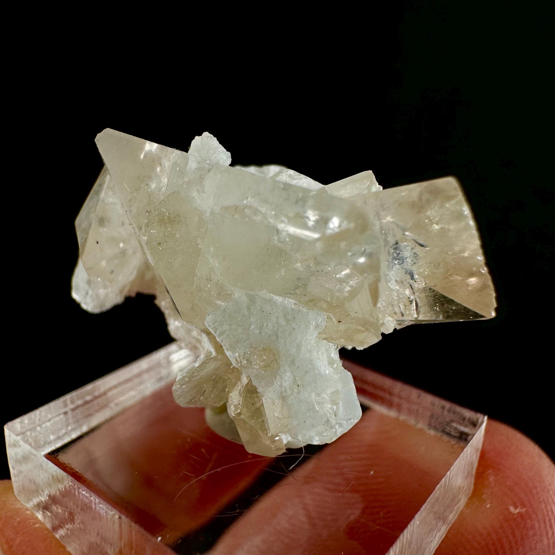 Champagne Topaz on Albite Matrix (Pakistan) | topaz crystal, rare crystals, mineral specimen, rare minerals, natural topaz, golden topaz