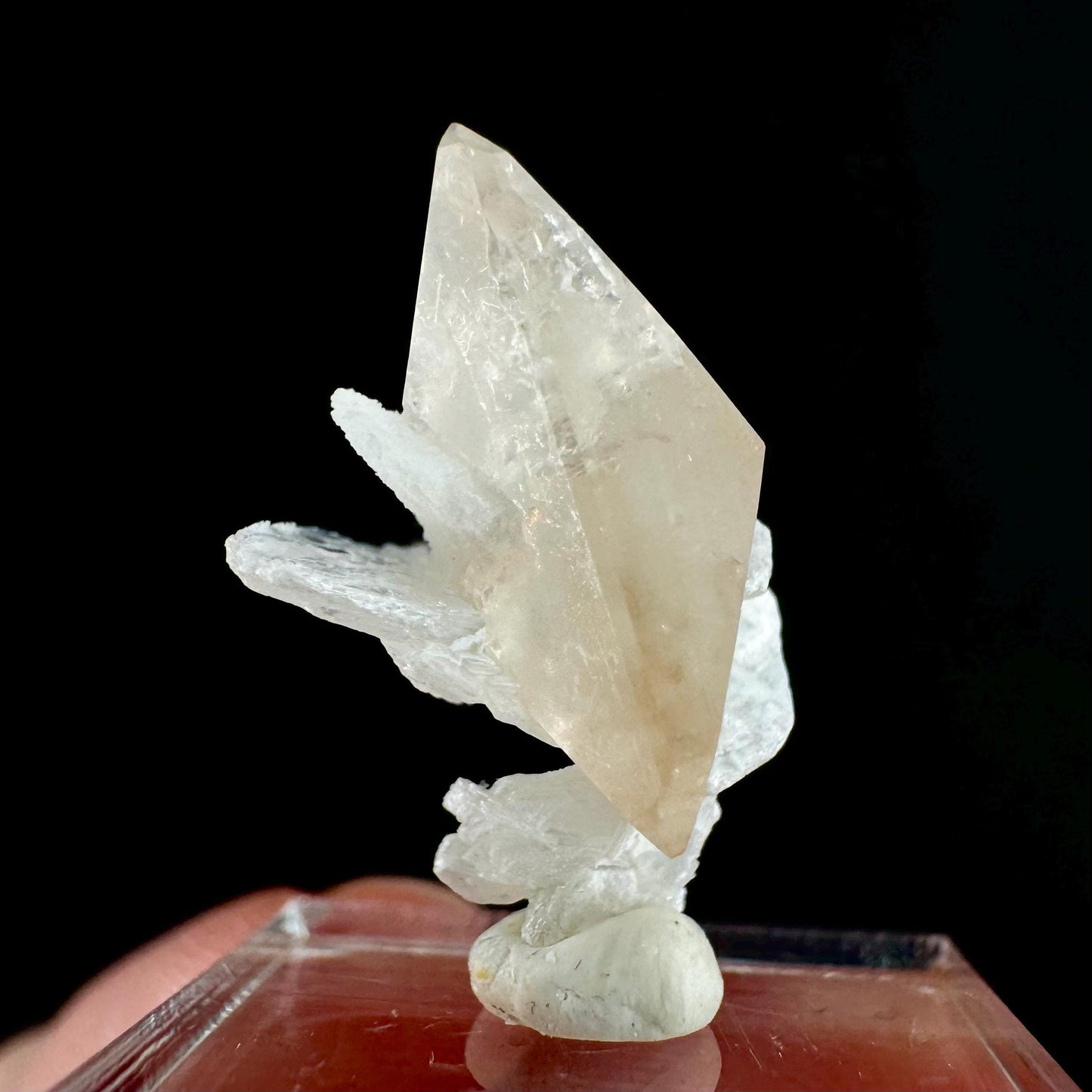 Champagne Topaz on Albite Matrix (Pakistan) | topaz crystal, rare crystals, mineral specimen, rare minerals, natural topaz, golden topaz