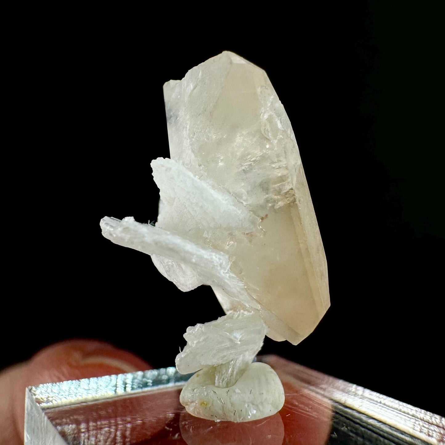 Champagne Topaz on Albite Matrix (Pakistan) | topaz crystal, rare crystals, mineral specimen, rare minerals, natural topaz, golden topaz