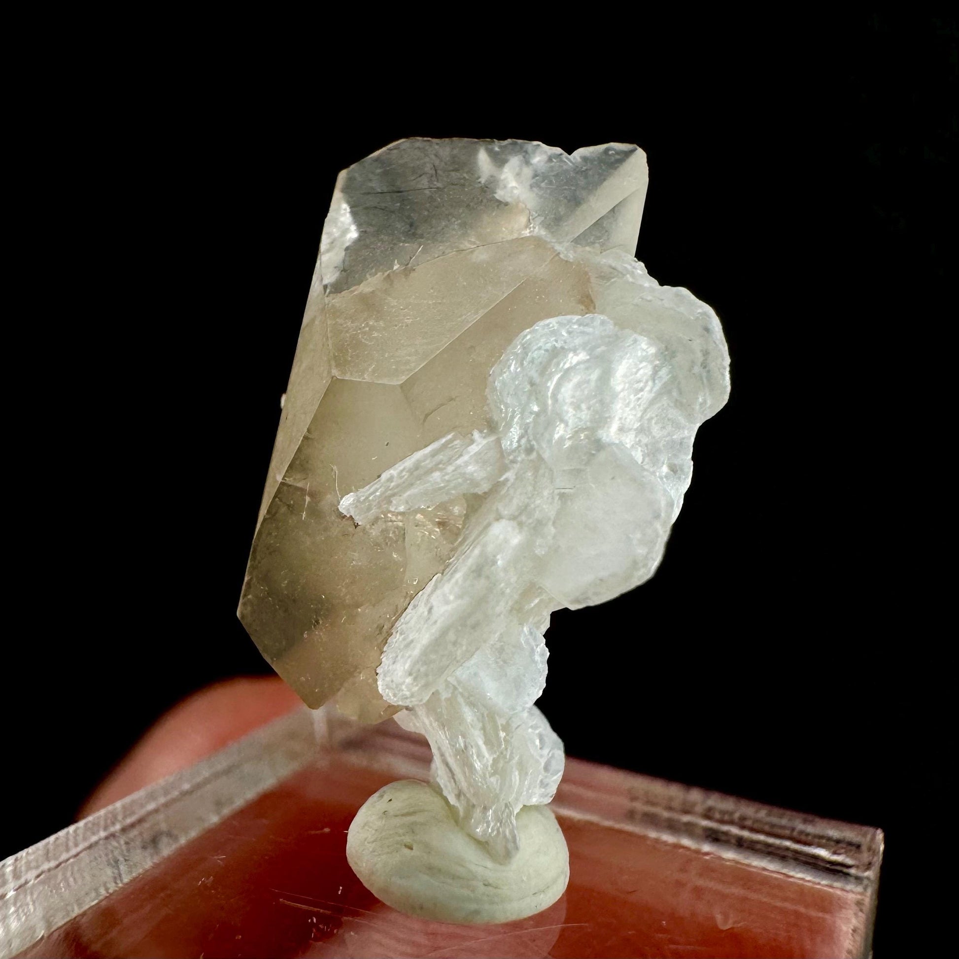 Champagne Topaz on Albite Matrix (Pakistan) | topaz crystal, rare crystals, mineral specimen, rare minerals, natural topaz, golden topaz