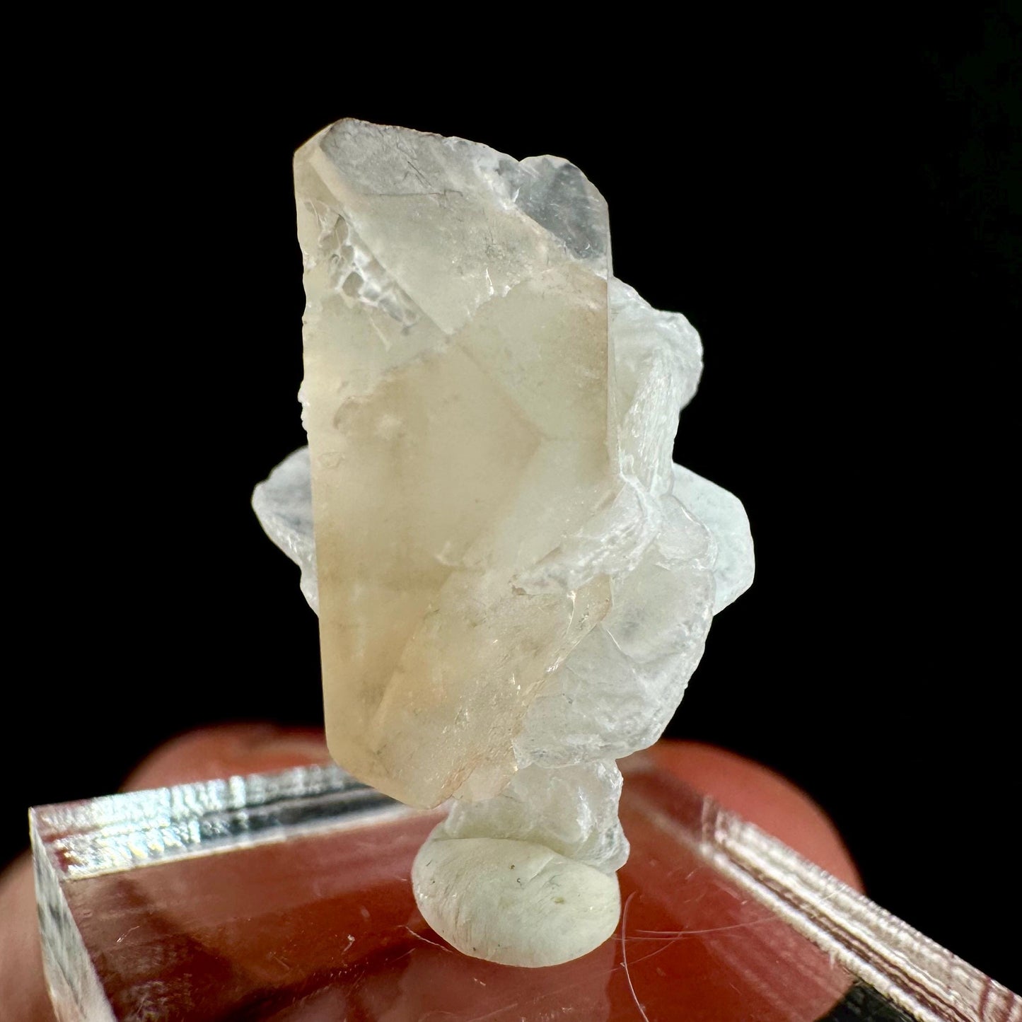 Champagne Topaz on Albite Matrix (Pakistan) | topaz crystal, rare crystals, mineral specimen, rare minerals, natural topaz, golden topaz