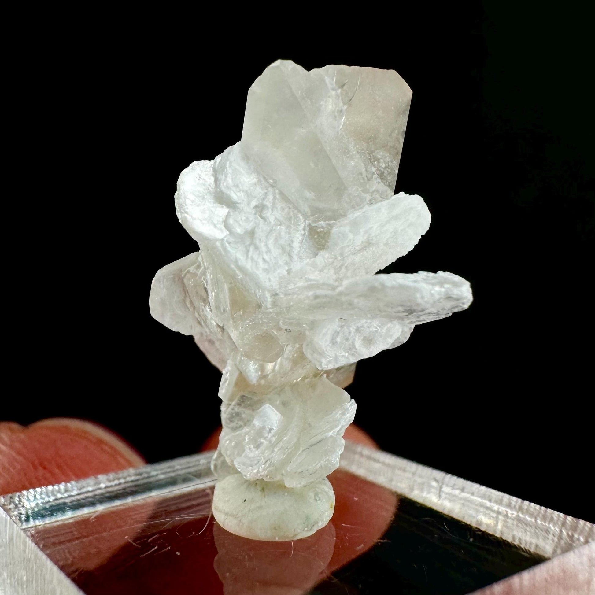 Champagne Topaz on Albite Matrix (Pakistan) | topaz crystal, rare crystals, mineral specimen, rare minerals, natural topaz, golden topaz