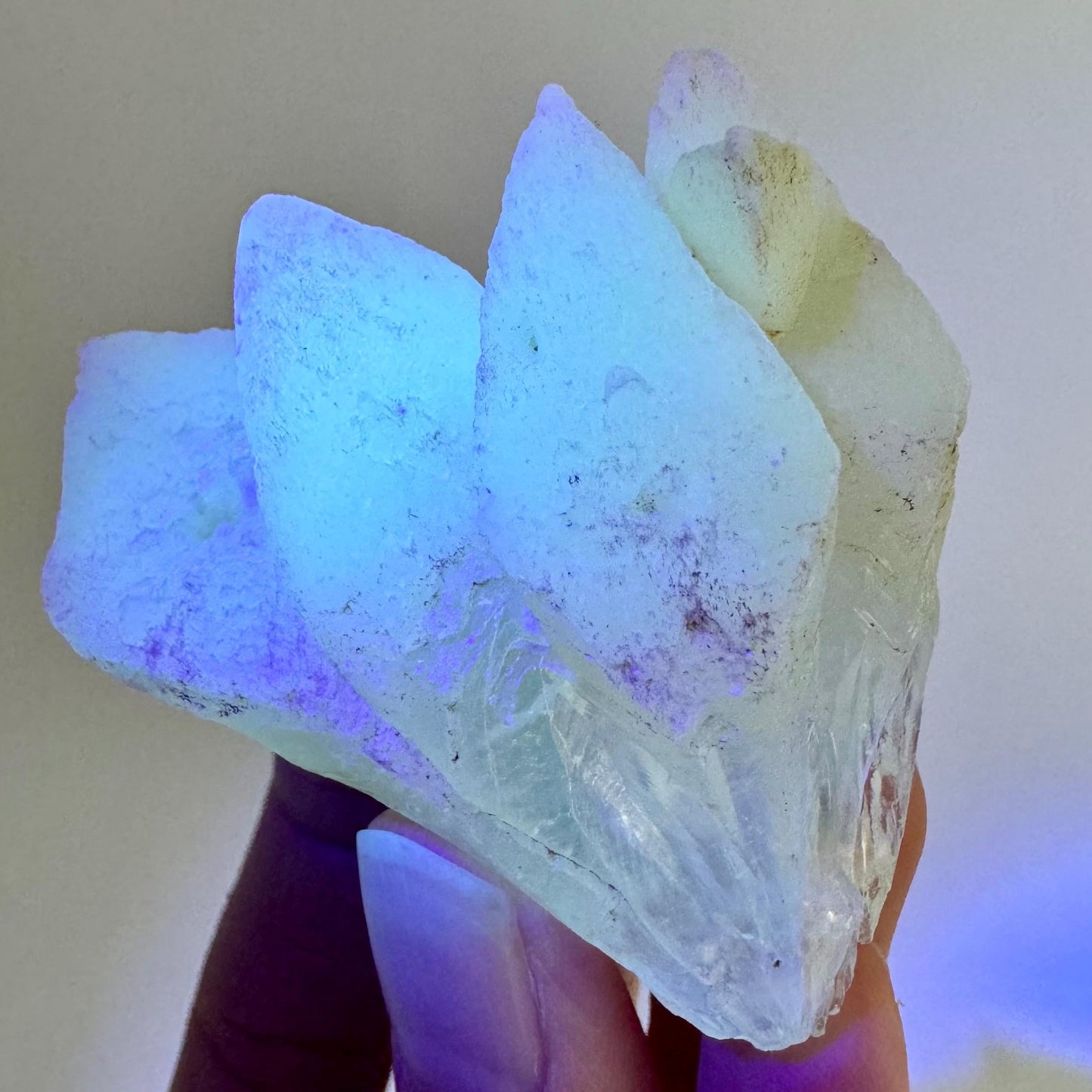Fluorescent & Phosphorescent Calcite (Indonesia) | UV-reactive calcite, yellow calcite, calcite crystal, UV reactive crystal, crystals