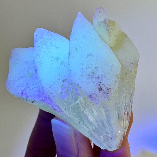 Fluorescent & Phosphorescent Calcite (Indonesia) | UV-reactive calcite, yellow calcite, calcite crystal, UV reactive crystal, crystals