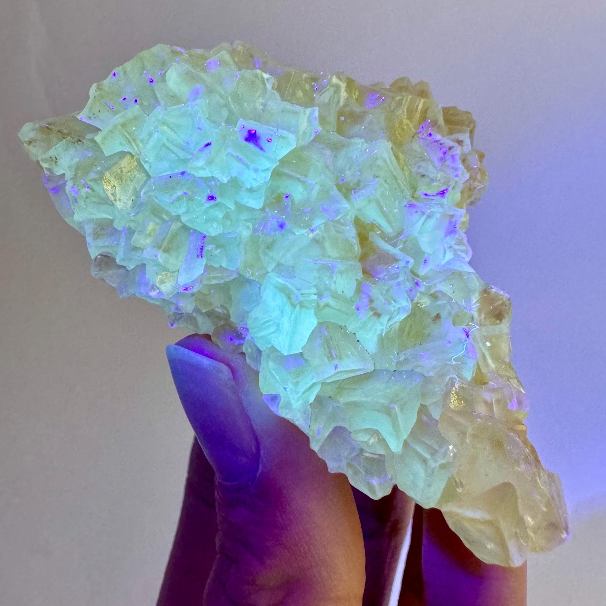 Fluorescent & Phosphorescent Calcite (Indonesia) | UV-reactive calcite, yellow calcite, calcite crystal, UV reactive crystal, crystals
