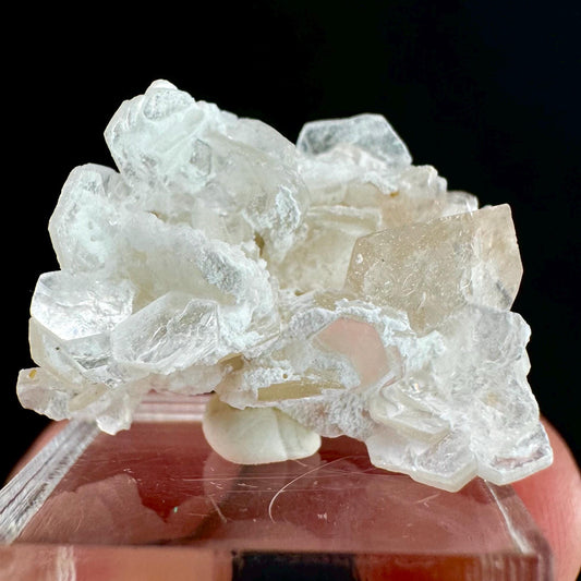 Champagne Topaz on Albite Matrix (Pakistan) | topaz crystal, rare crystals, mineral specimen, rare minerals, natural topaz, golden topaz