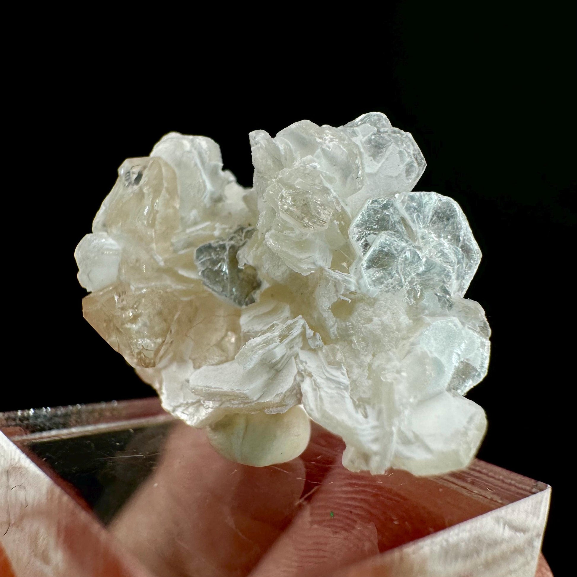 Champagne Topaz on Albite Matrix (Pakistan) | topaz crystal, rare crystals, mineral specimen, rare minerals, natural topaz, golden topaz