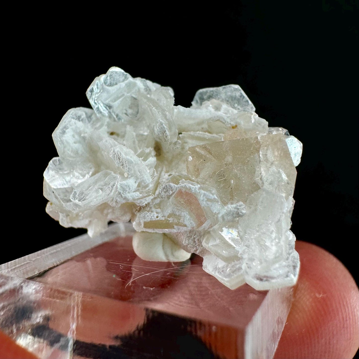 Champagne Topaz on Albite Matrix (Pakistan) | topaz crystal, rare crystals, mineral specimen, rare minerals, natural topaz, golden topaz