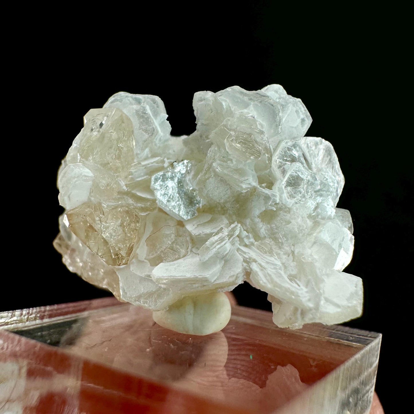 Champagne Topaz on Albite Matrix (Pakistan) | topaz crystal, rare crystals, mineral specimen, rare minerals, natural topaz, golden topaz