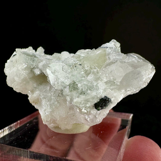 Rare! Herderite, Quartz with Black Tourmaline on Albite (Pakistan) | green herderite crystal, natural crystals, herderite on matrix