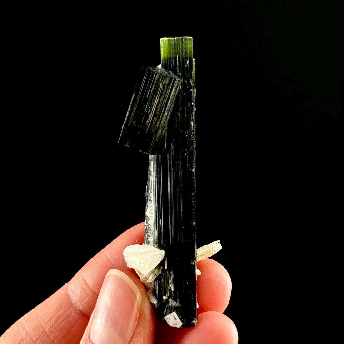 Green Cap Tourmaline with Albite (Pakistan) | raw tourmaline, green tourmaline, tourmaline crystal, rare minerals, rare crystals