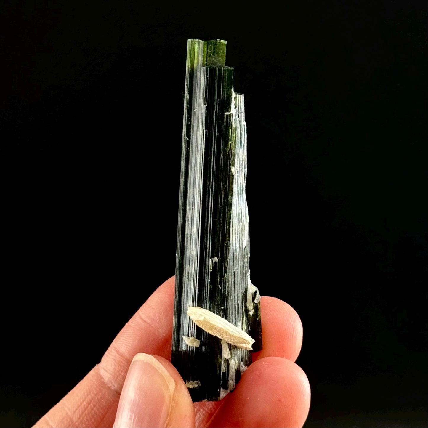 Green Cap Tourmaline with Albite (Pakistan) | raw tourmaline, green tourmaline, tourmaline crystal, rare minerals, rare crystals