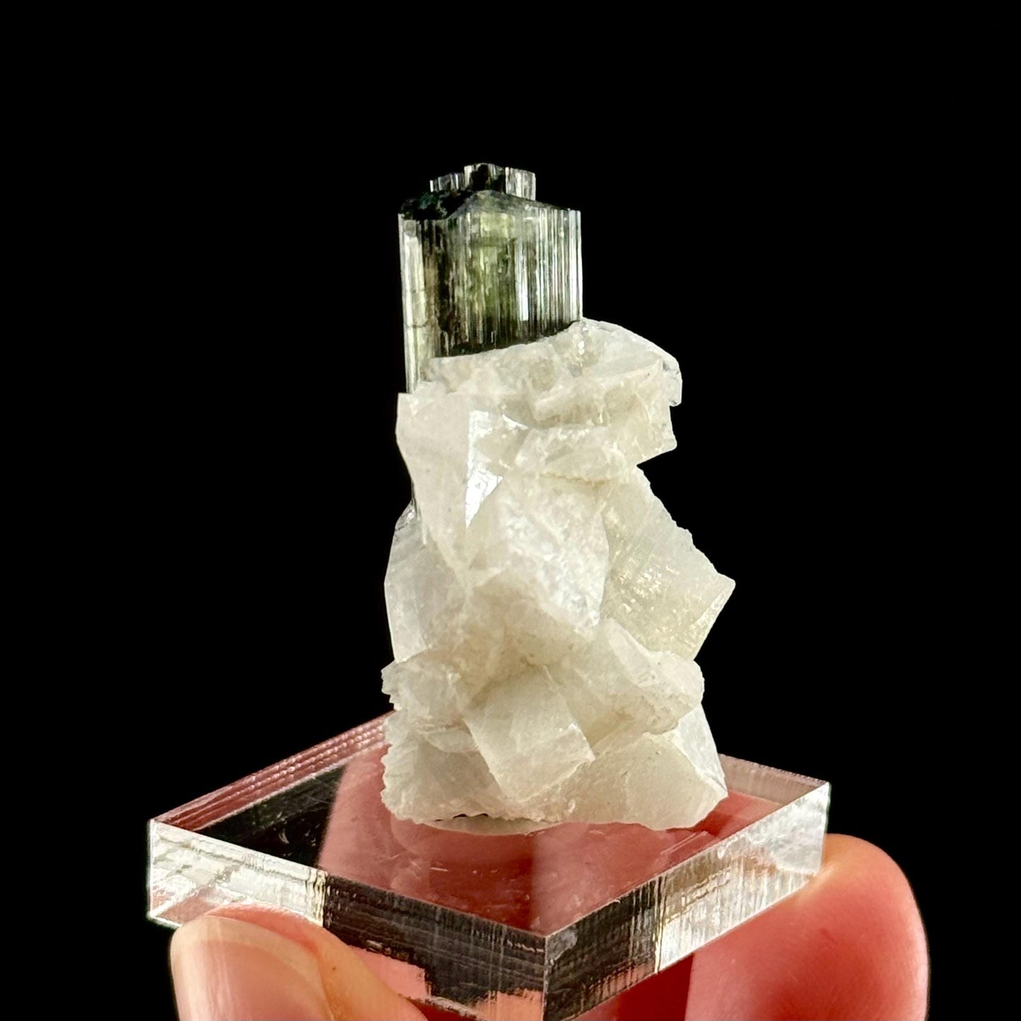 Green Cap Tourmaline with Albite (Pakistan) | raw tourmaline, green tourmaline, tourmaline crystal, rare minerals, rare crystals