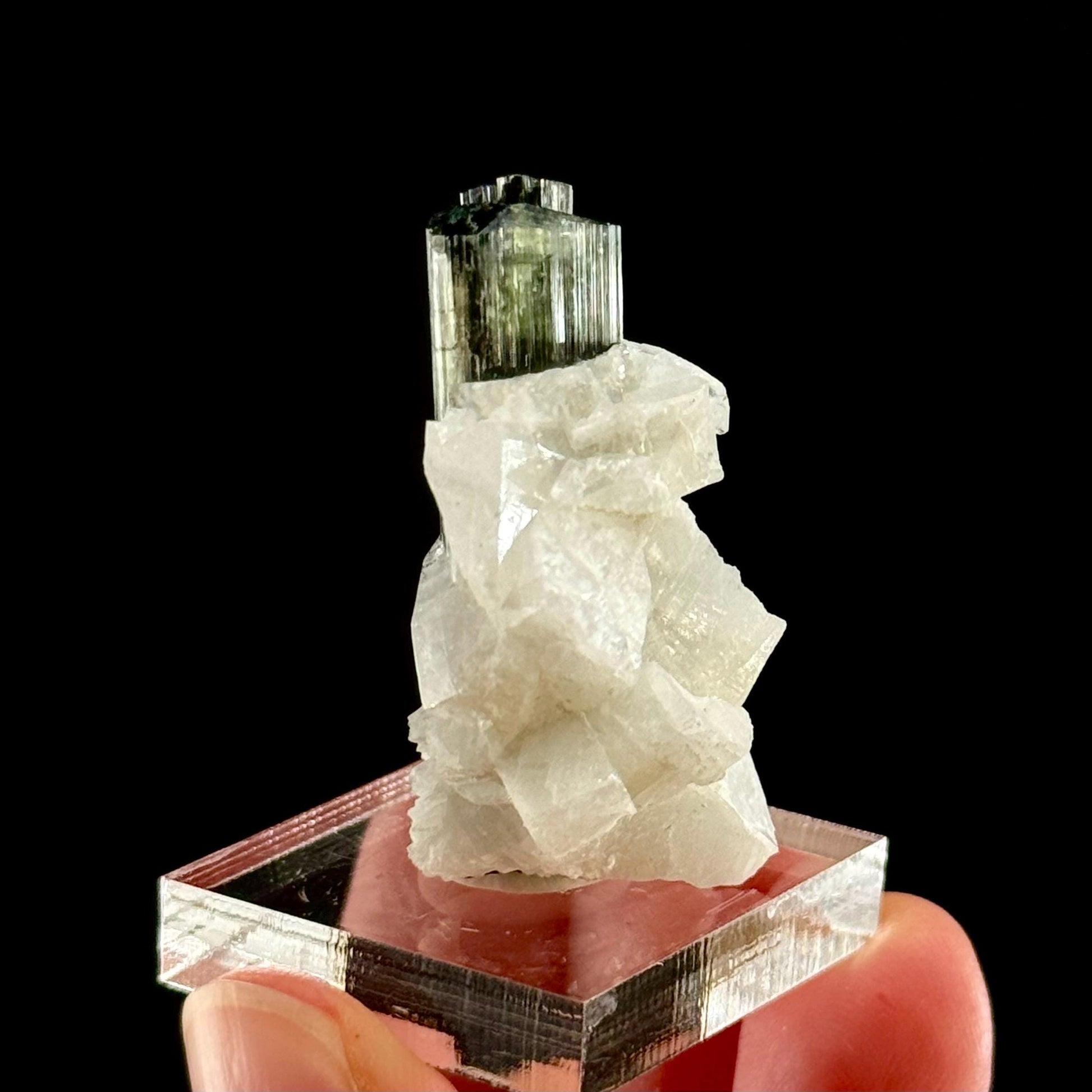 Green Cap Tourmaline with Albite (Pakistan) | raw tourmaline, green tourmaline, tourmaline crystal, rare minerals, rare crystals