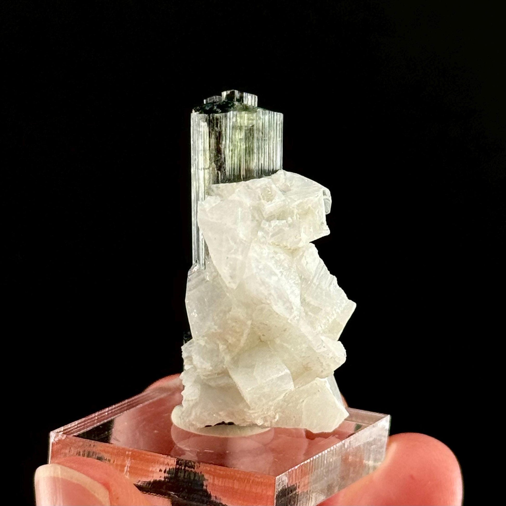 Green Cap Tourmaline with Albite (Pakistan) | raw tourmaline, green tourmaline, tourmaline crystal, rare minerals, rare crystals