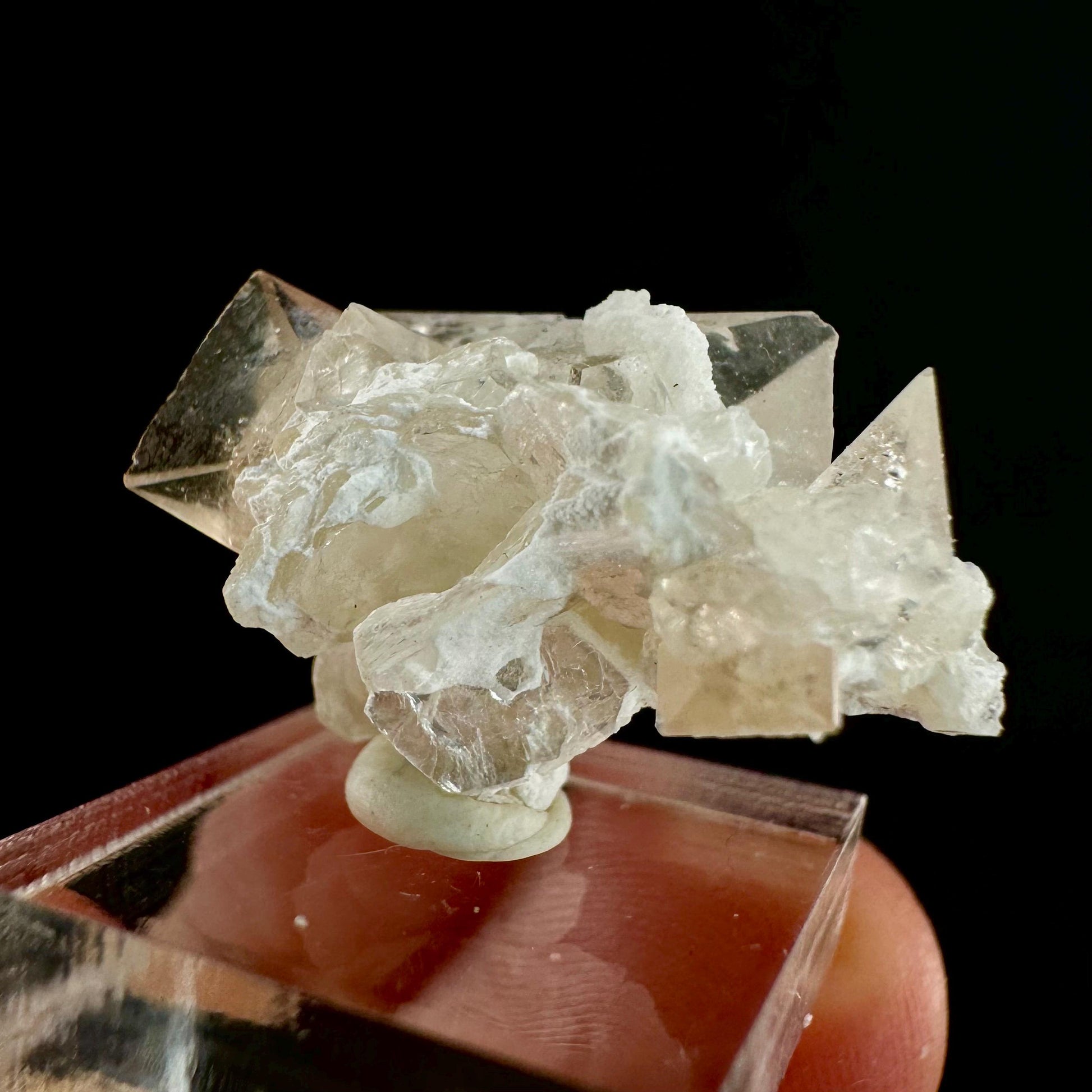 Champagne Topaz on Albite Matrix (Pakistan) | topaz crystal, rare crystals, mineral specimen, rare minerals, natural topaz, golden topaz