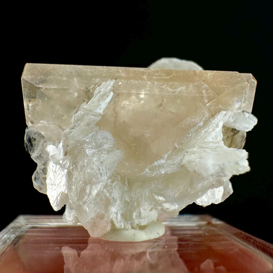 Champagne Topaz on Albite Matrix (Pakistan) | topaz crystal, rare crystals, mineral specimen, rare minerals, natural topaz, golden topaz