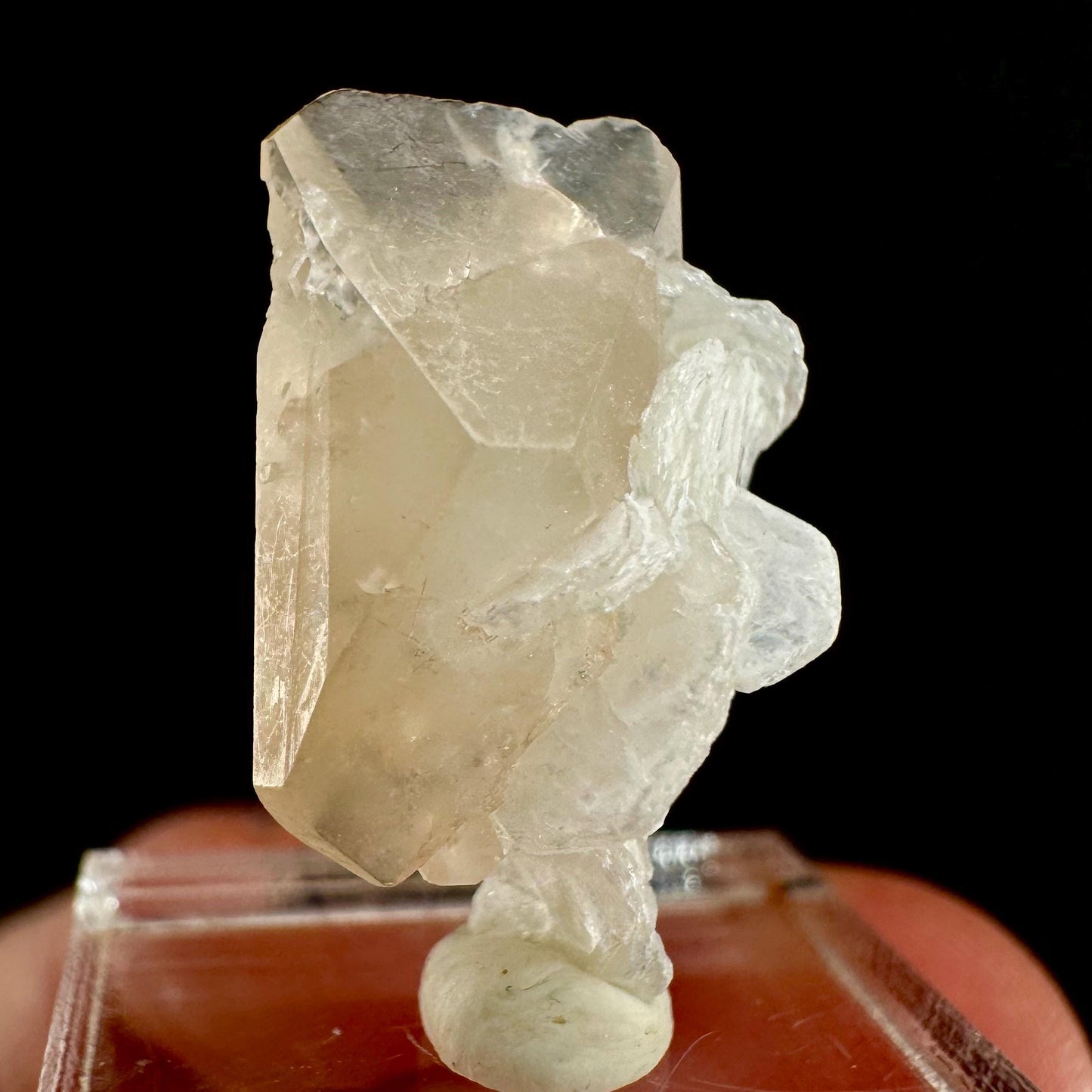 Champagne Topaz on Albite Matrix (Pakistan) | topaz crystal, rare crystals, mineral specimen, rare minerals, natural topaz, golden topaz