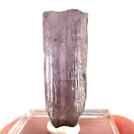 Scapolite var. Marialite (Afghanistan), purple scapolite, terminated scapolite crystal, mineral specimen, rare gems