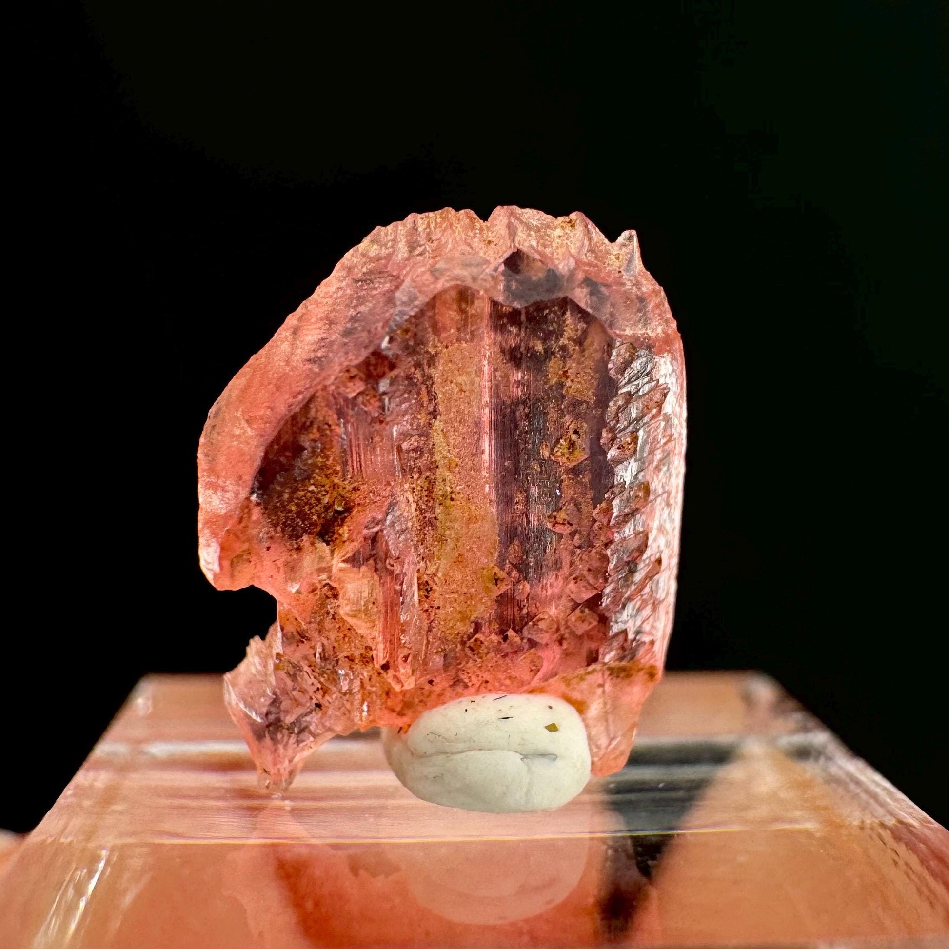 Rare! Vayrynenite (Pakistan) | vayrynenite crystal, rare crystals, mineral specimen, rare minerals, natural vayrynenite