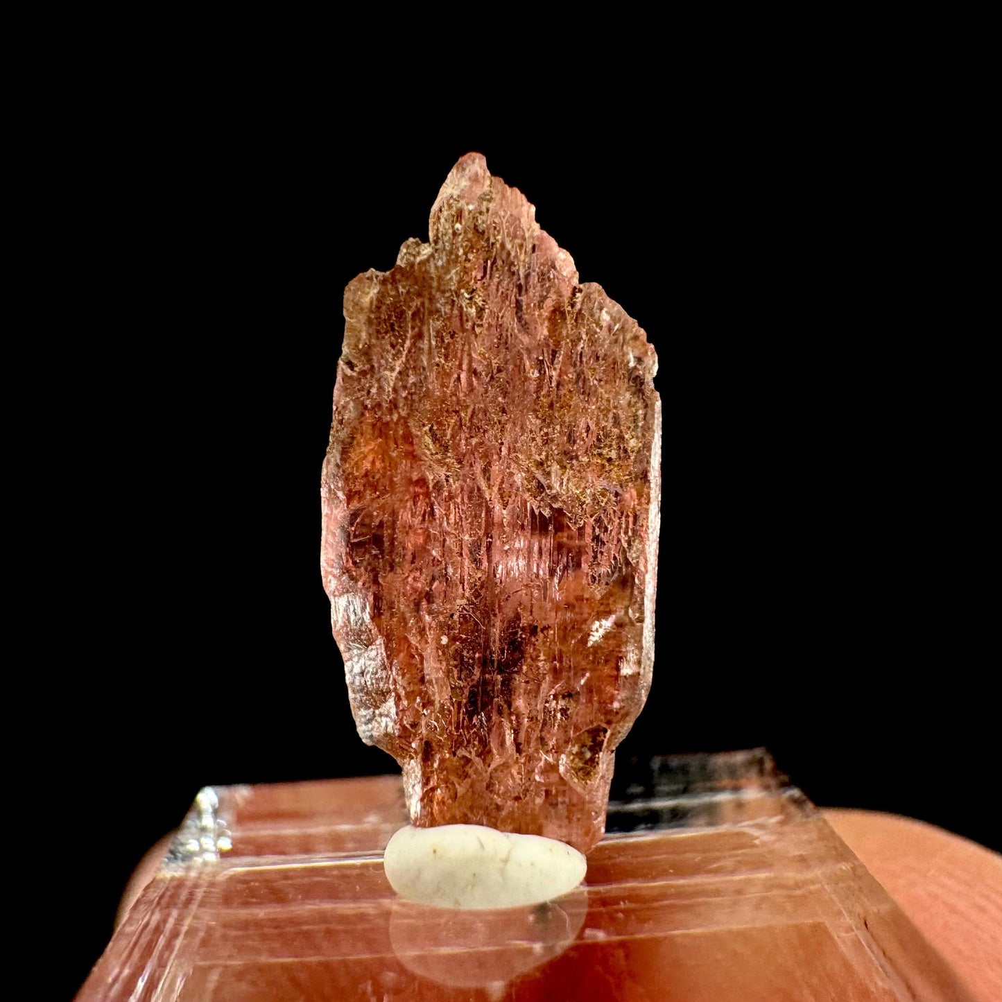 Rare! Vayrynenite (Pakistan) | vayrynenite crystal, rare crystals, mineral specimen, rare minerals, natural vayrynenite