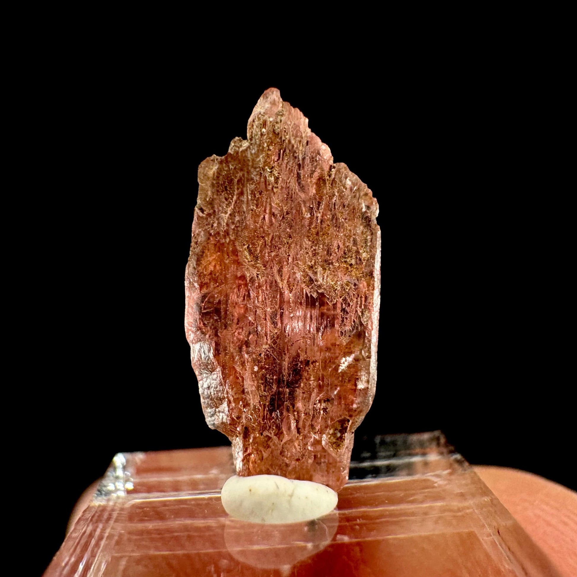 Rare! Vayrynenite (Pakistan) | vayrynenite crystal, rare crystals, mineral specimen, rare minerals, natural vayrynenite
