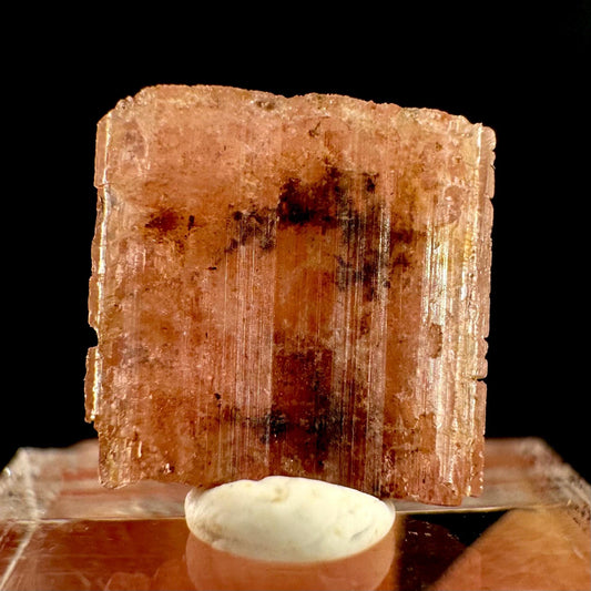 Rare! Vayrynenite (Pakistan) | vayrynenite crystal, rare crystals, mineral specimen, rare minerals, natural vayrynenite